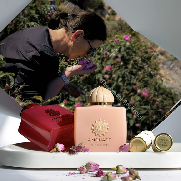 Auswahl an Parfums passend zum Thema der Kolumne