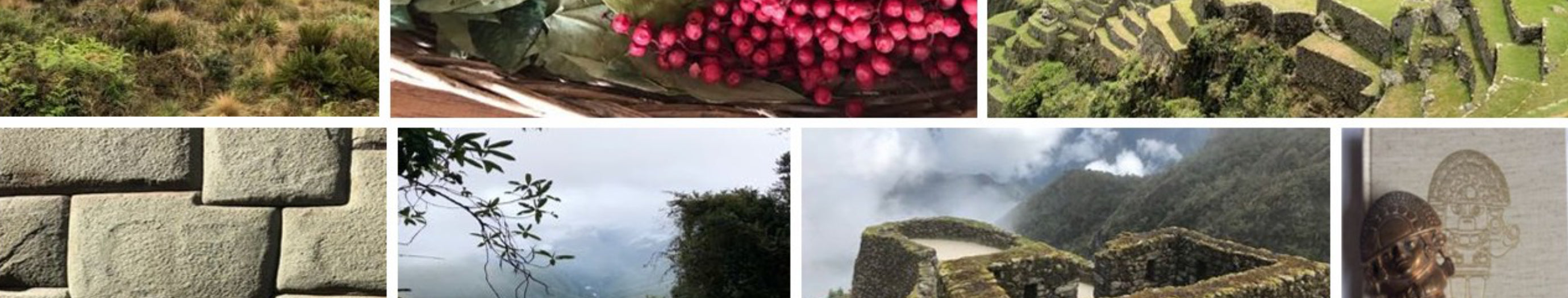 Casa de Coca Banner
