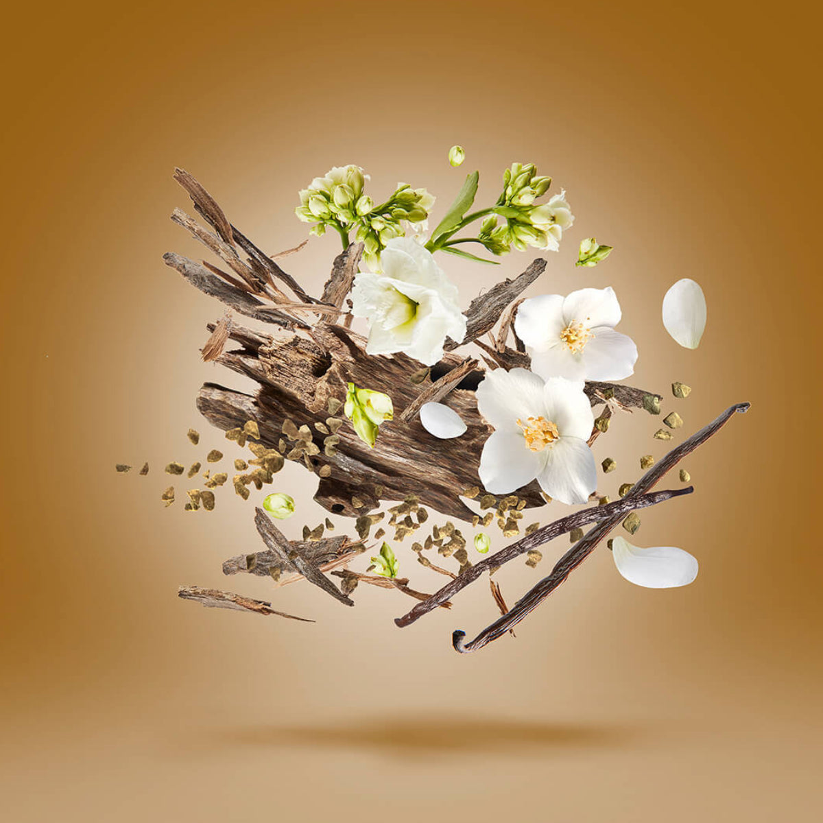 Xerjoff - Oud Stars - Al Khatt