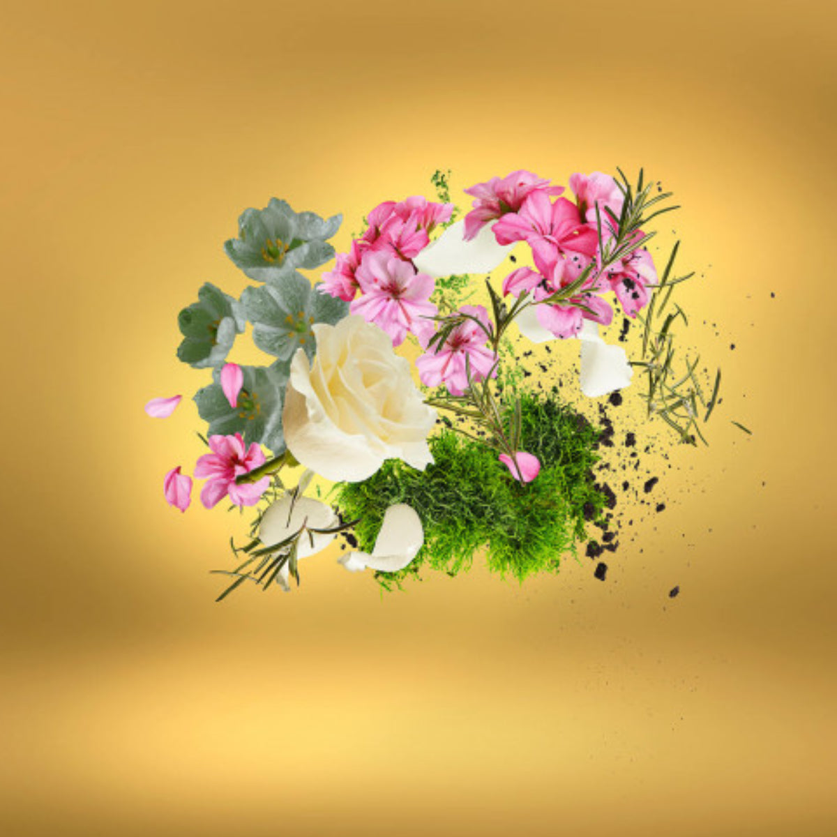 Xerjoff - Casamorati 1888 - Casa Futura