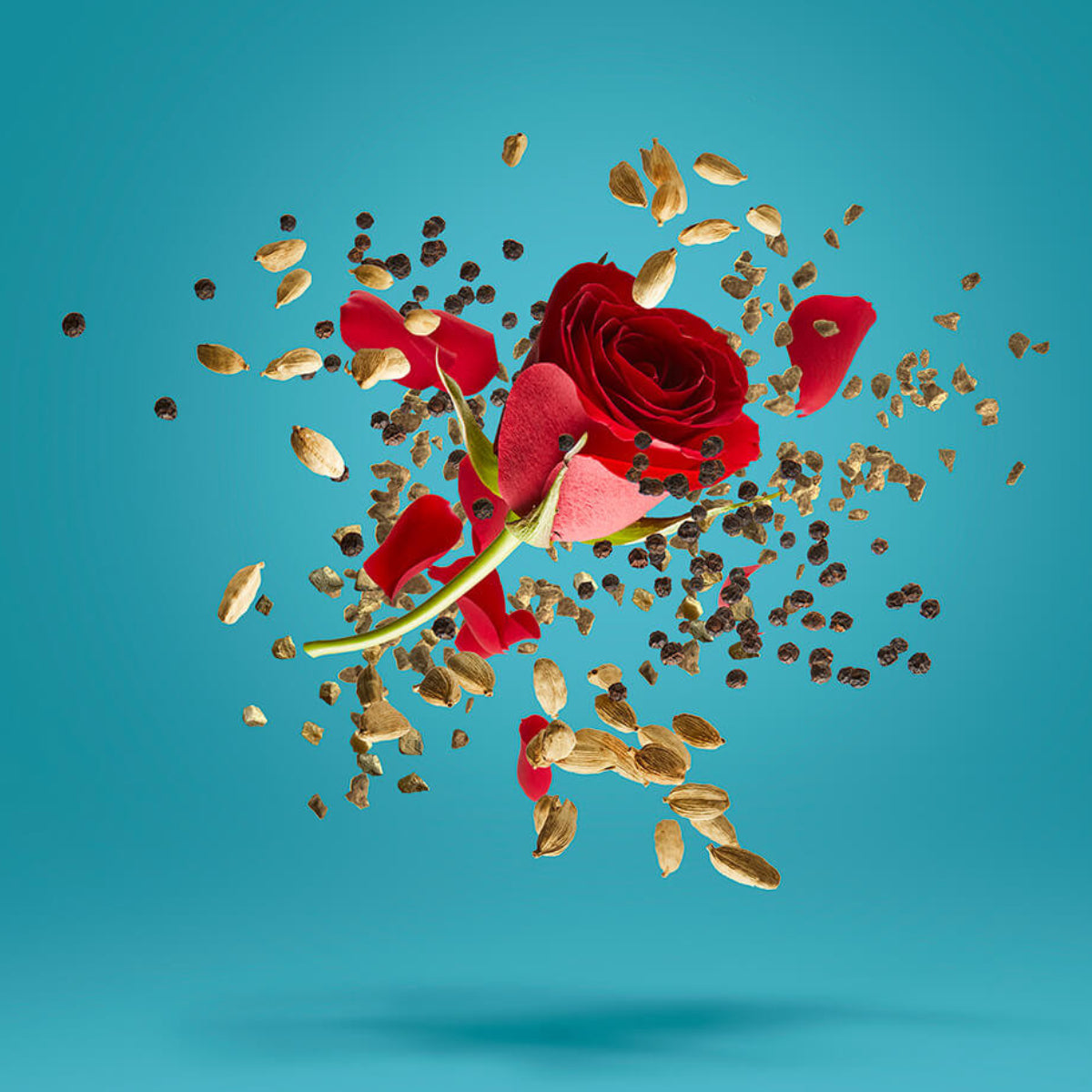 XerJoff - Blends - Groove Xcape