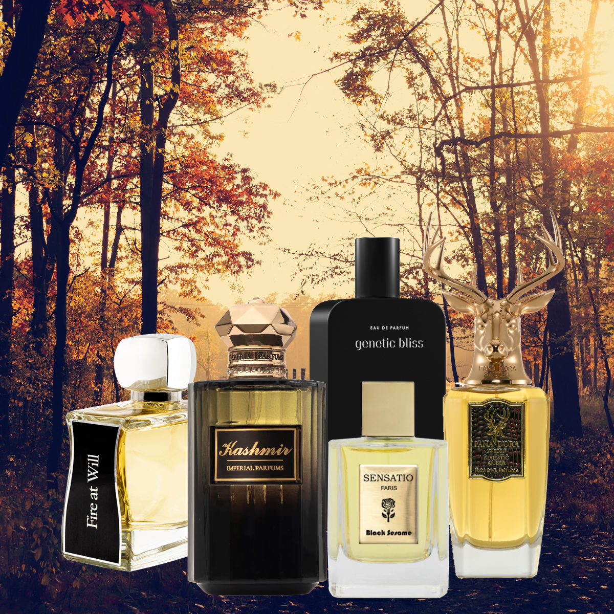 Aus Liebe zum Duft - Sample Set - Cozy Autumn Vibes