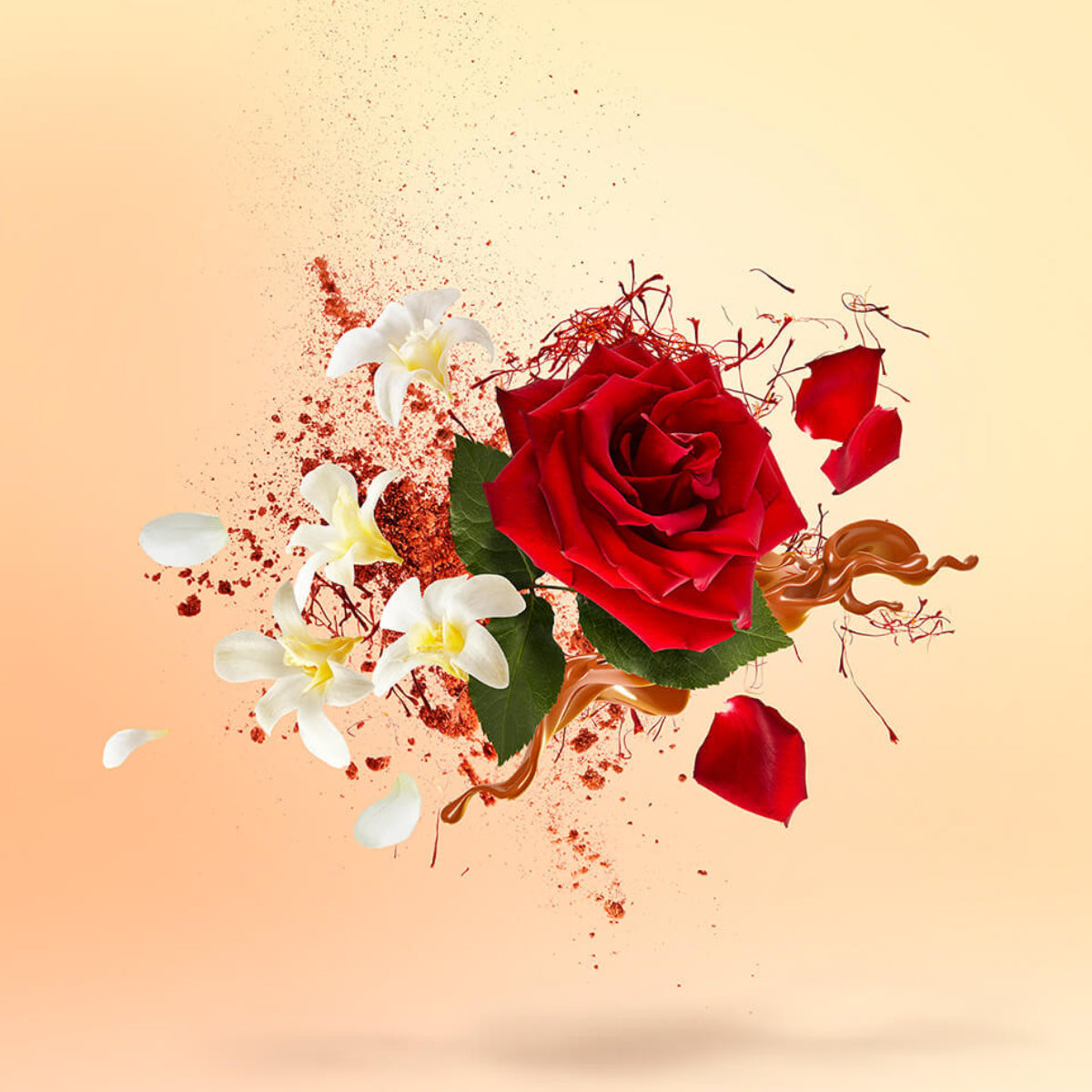 Xerjoff - Spotlight - La Capitale