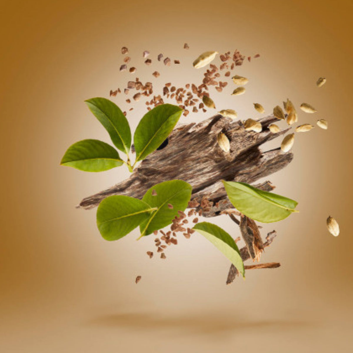 Xerjoff - Oud Stars - Luxor