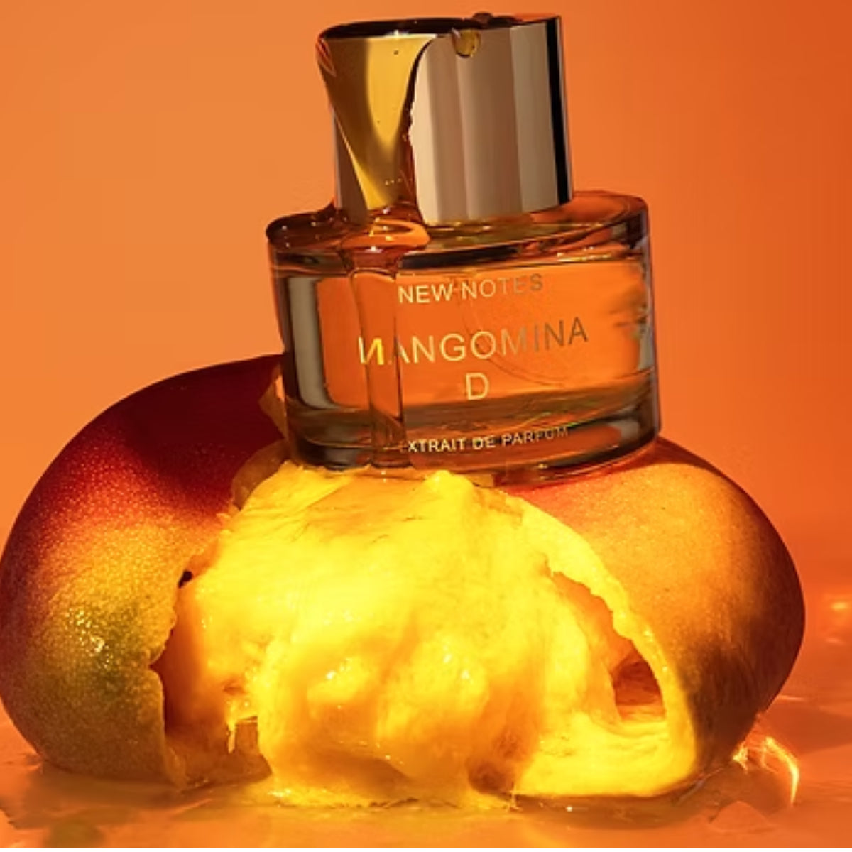 New Notes - Modern Liquid Collection - Mangomina D