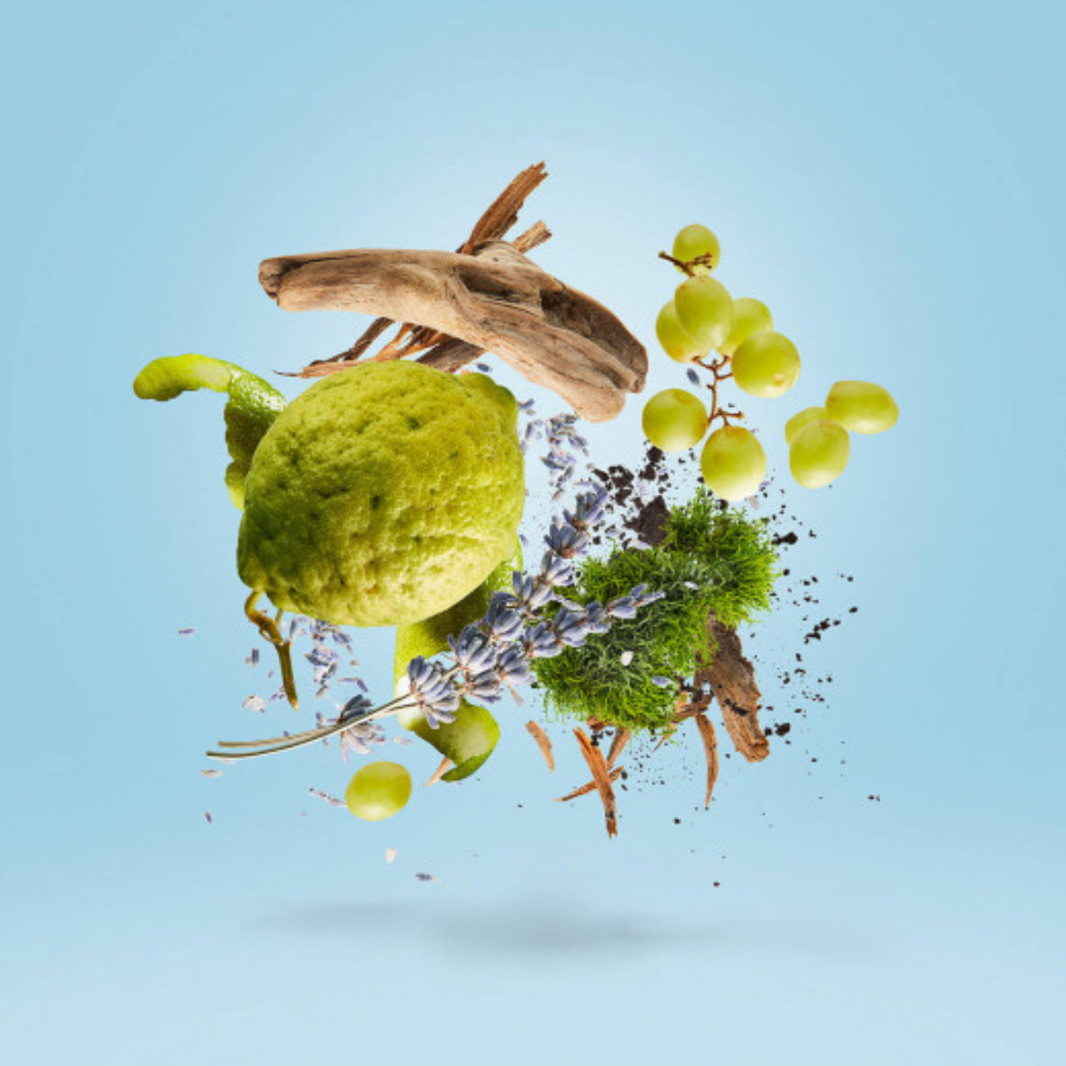 Xerjoff - Casamorati 1888 - Mefisto Gentiluomo