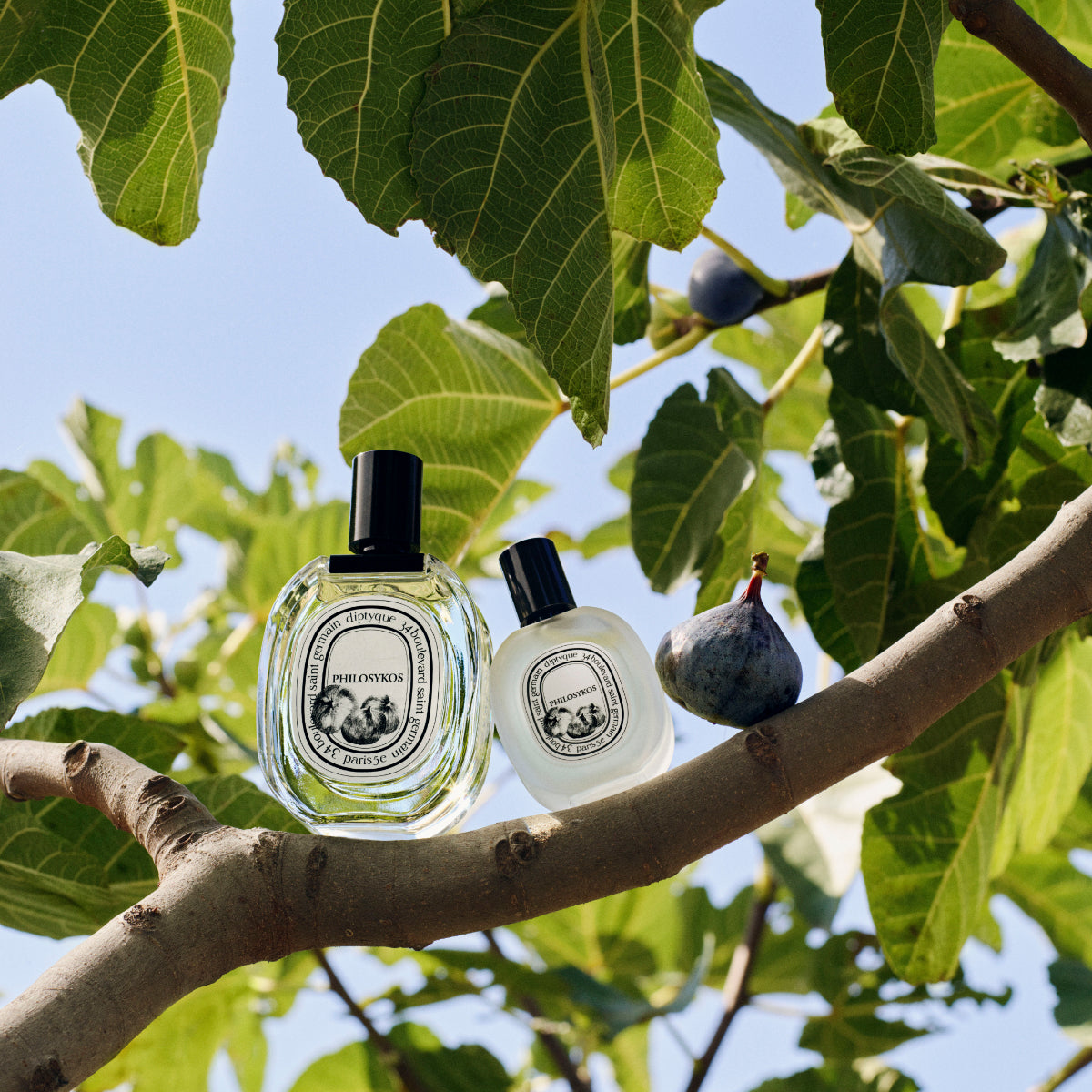 Diptyque - Philosykos - Hair Mist