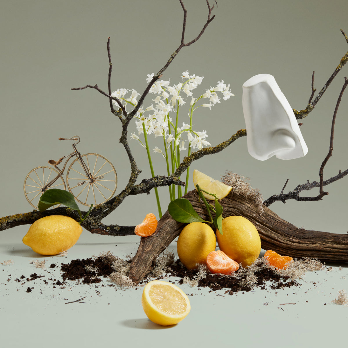Penhaligon's - British Tales - Quercus