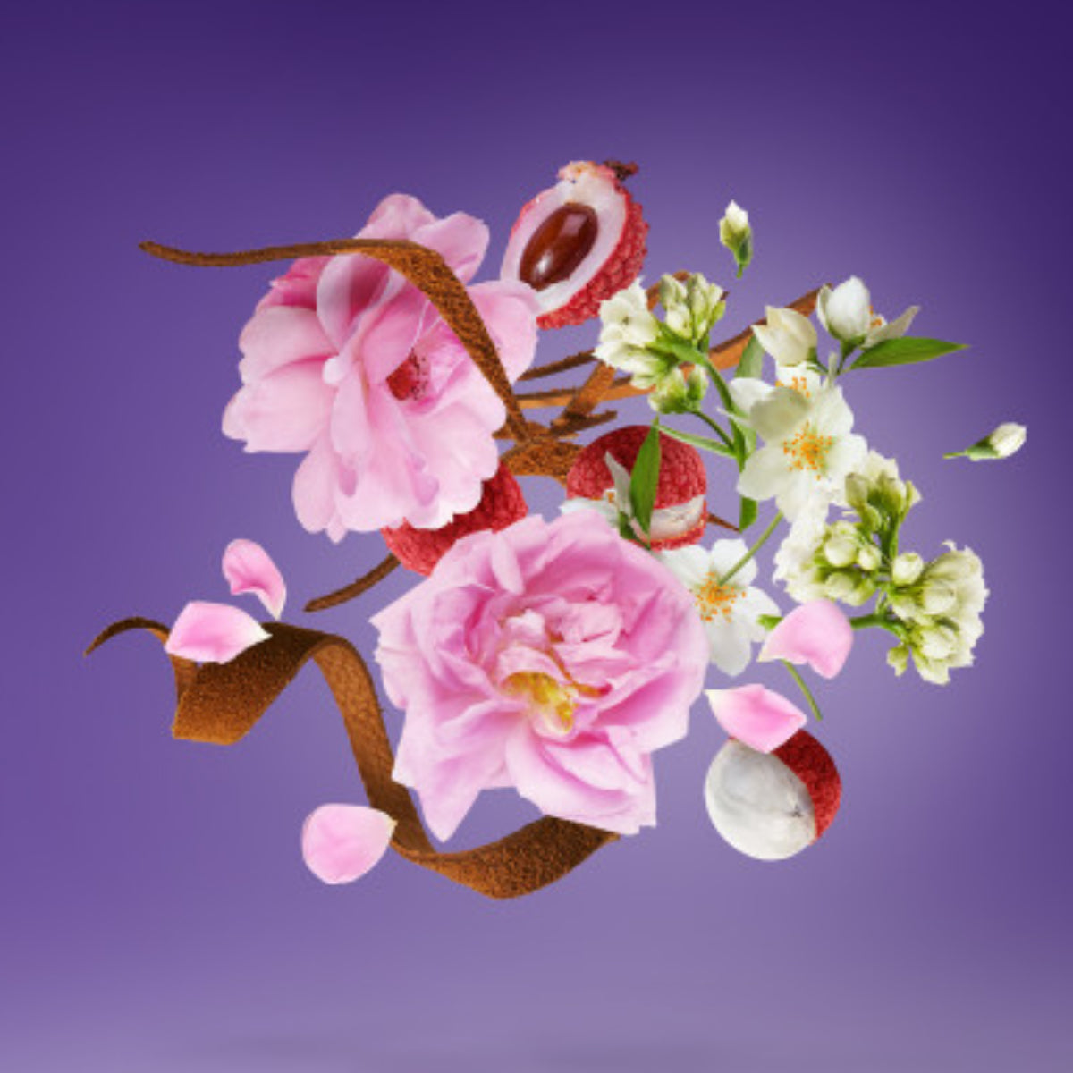 Xerjoff - Vibe - Soprano