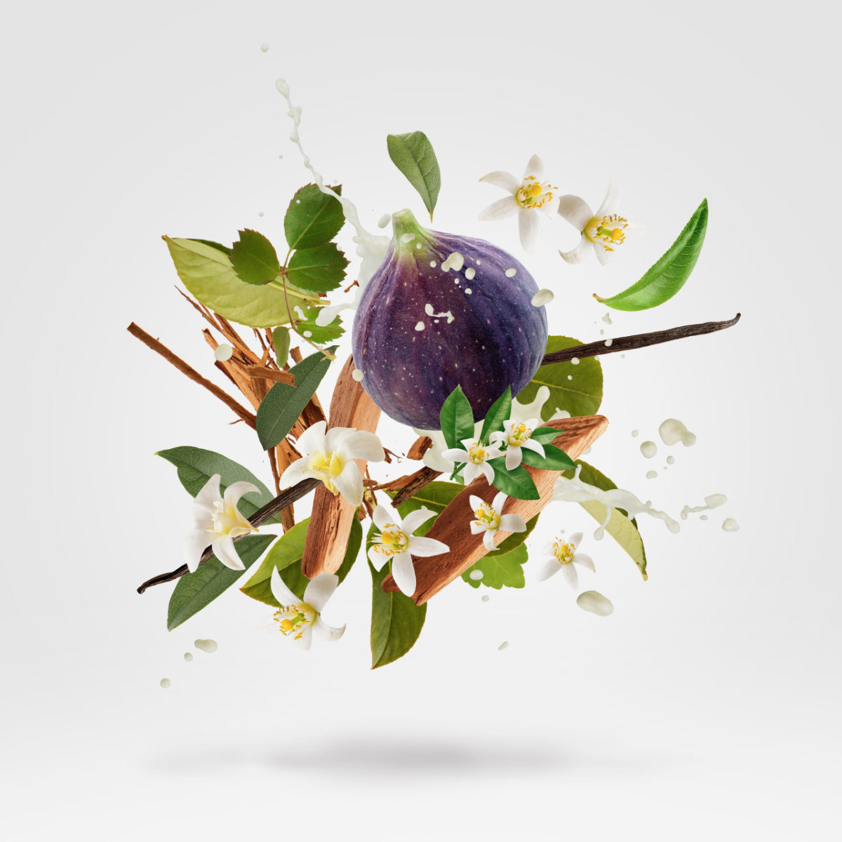 Xerjoff - Spotlight - White on White