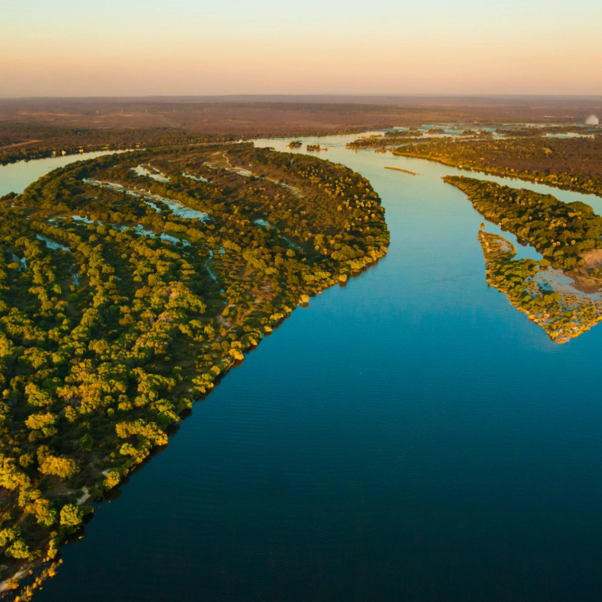 Olfattology - Zambesi