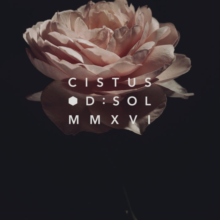 D:SOL MMXVI - Cistus