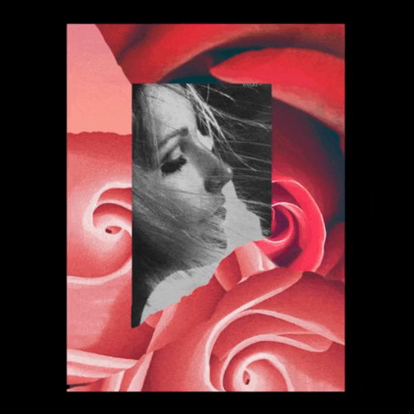 Le Galion - La Rose