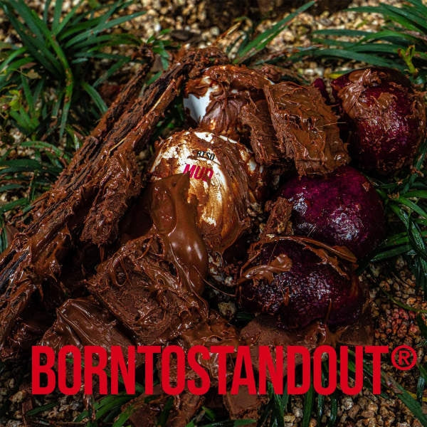 BORNTOSTANDOUT - Mud