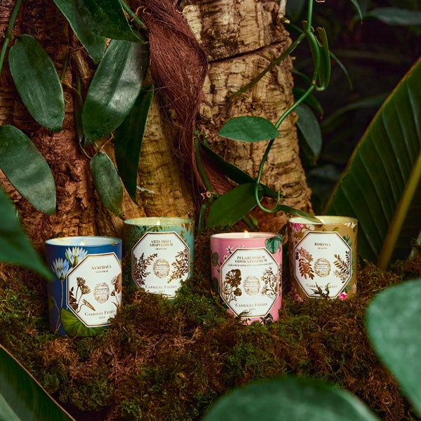 Carrière Frères - Acacia - Robinia - Scented Candle Refill