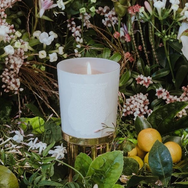 Trudon - Giambattista Valli - Positano - Scented Candle