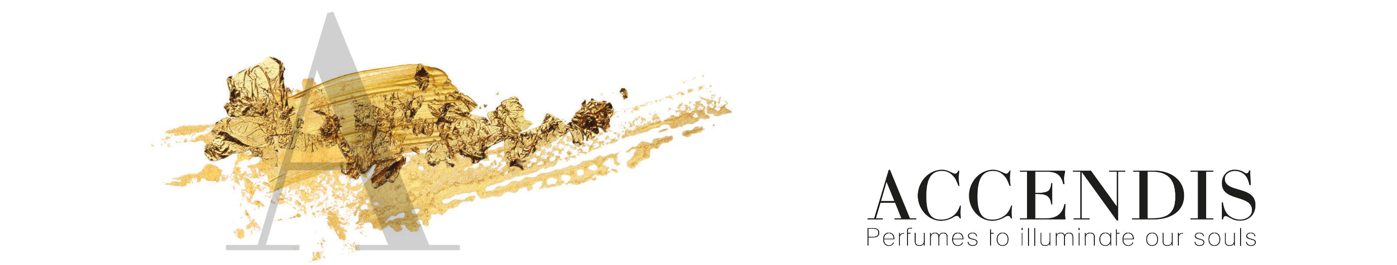 Accendis Banner