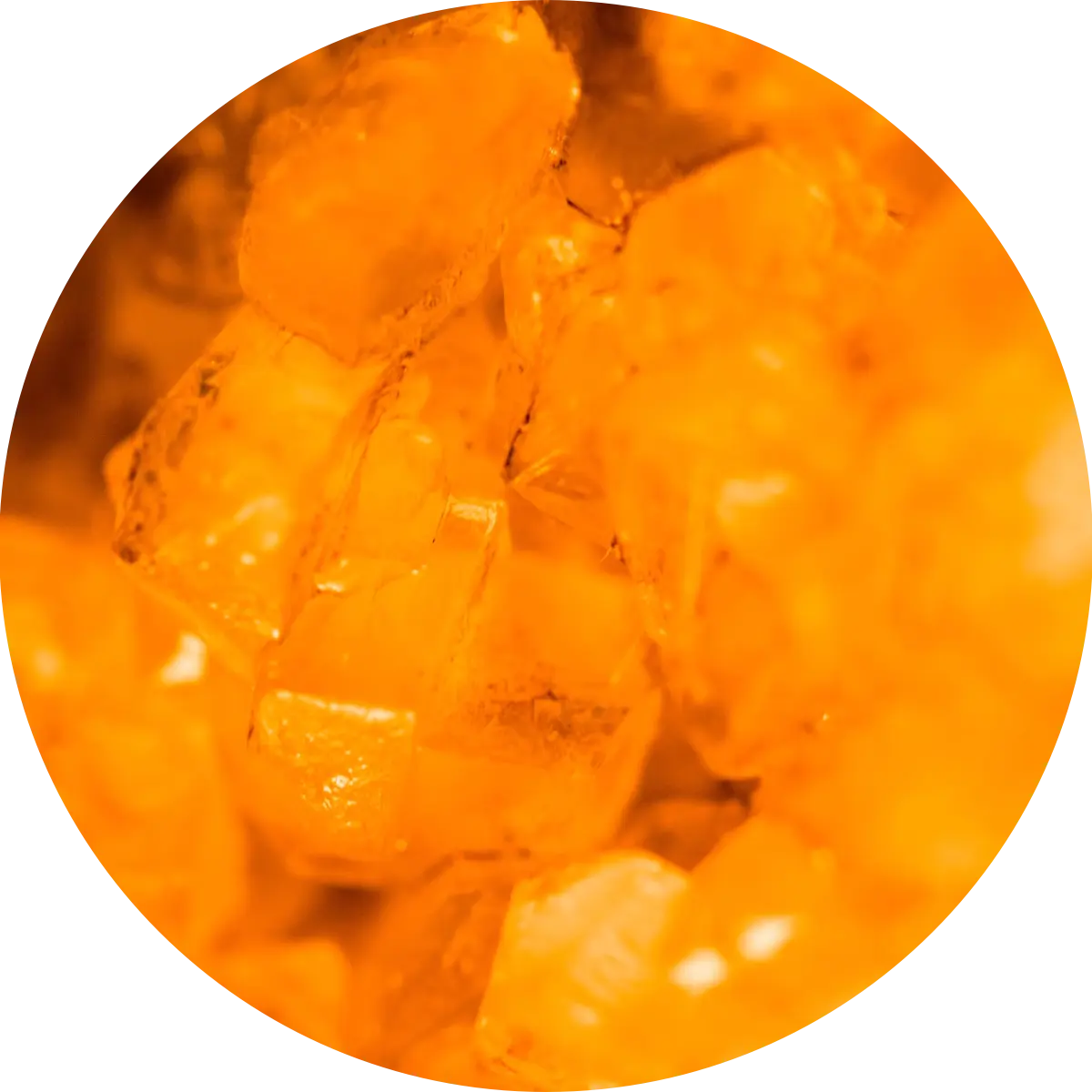 Ambra – erotisch, geheimnisvoll und betörend