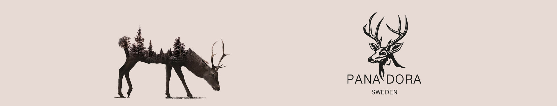 Pana Dora Banner