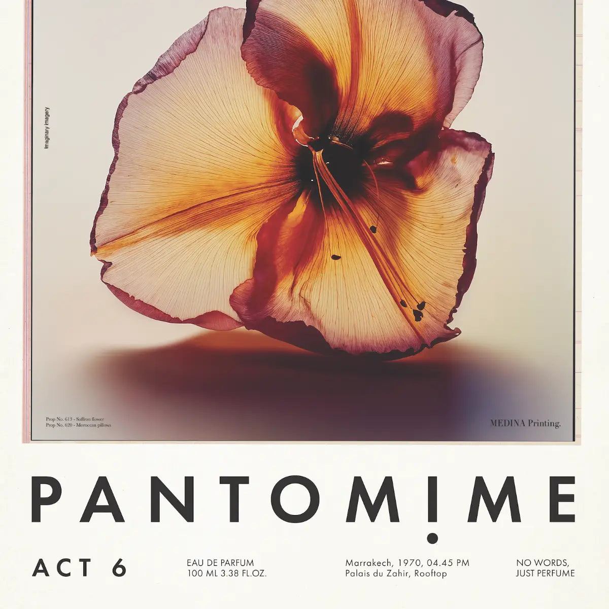 Pantomime - Act 6