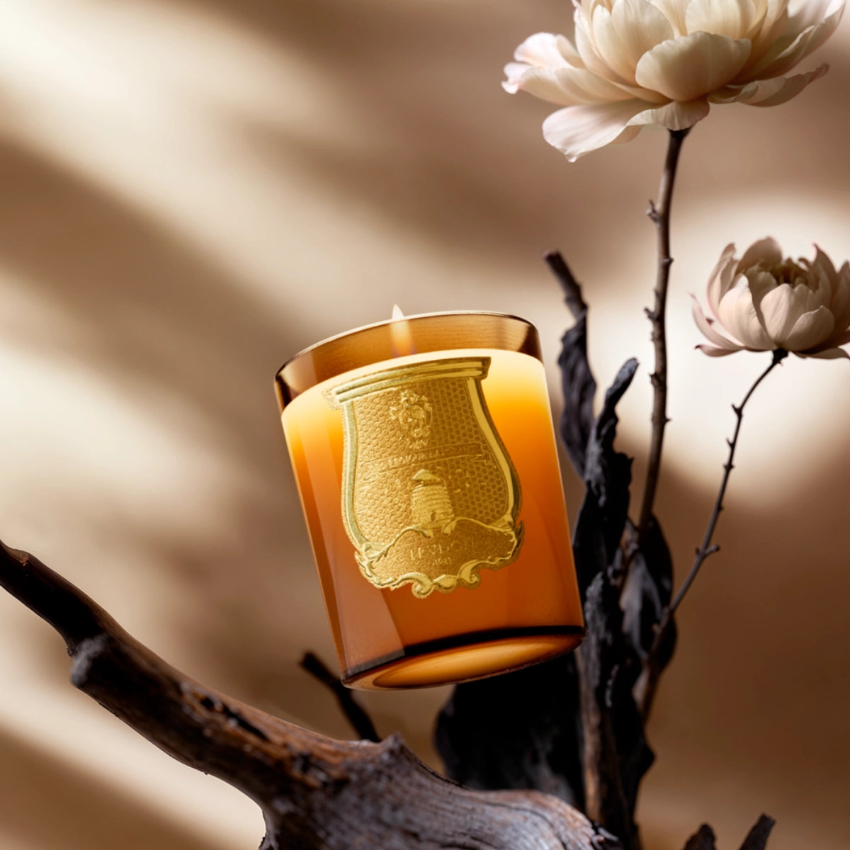 Trudon - Altaïr - Duftkerze