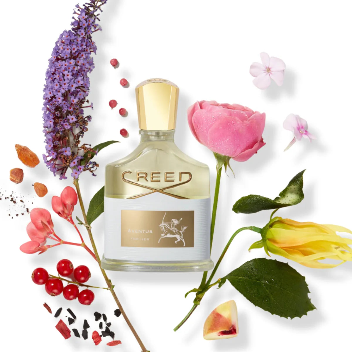 Creed Aventus for Her