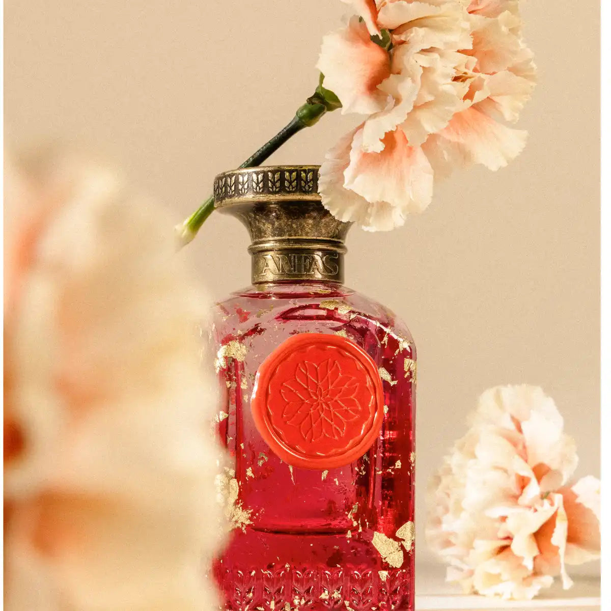 Anfas - Fosol Collection - Aya