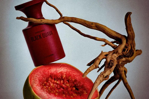 BORNTOSTANDOUT - Black Guava