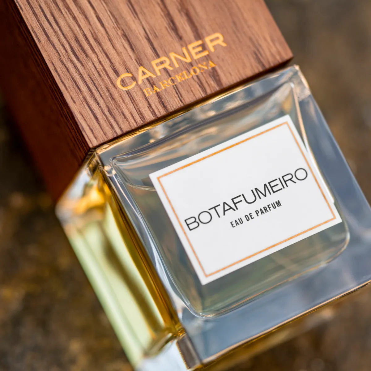 Carner Barcelona - History Collection - Botafumeiro