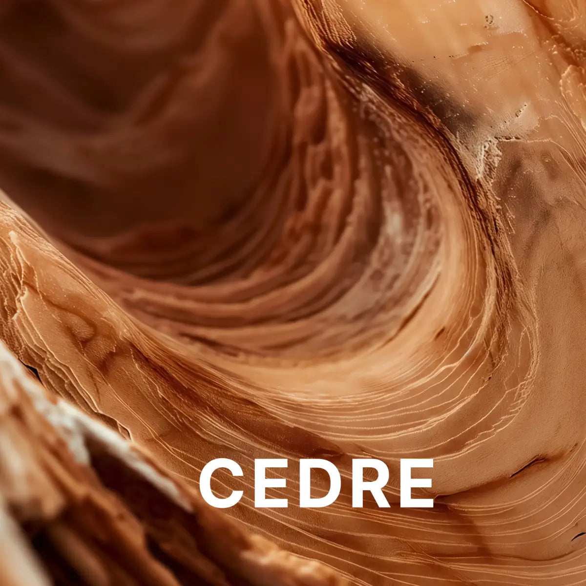 Headspace - Cédre