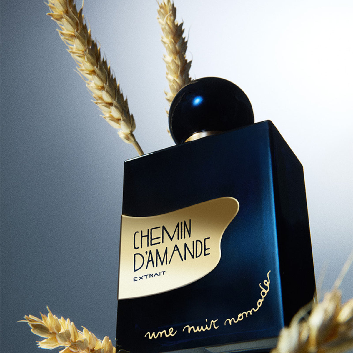 Une Nuit Nomade - Chemin D'Amande