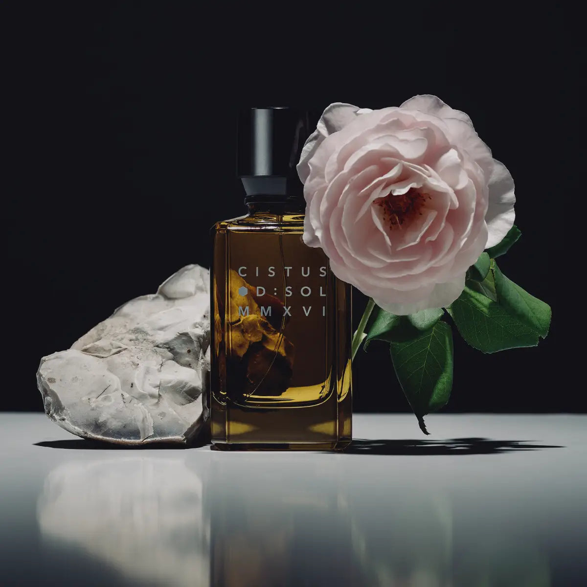 D:SOL MMXVI - Cistus