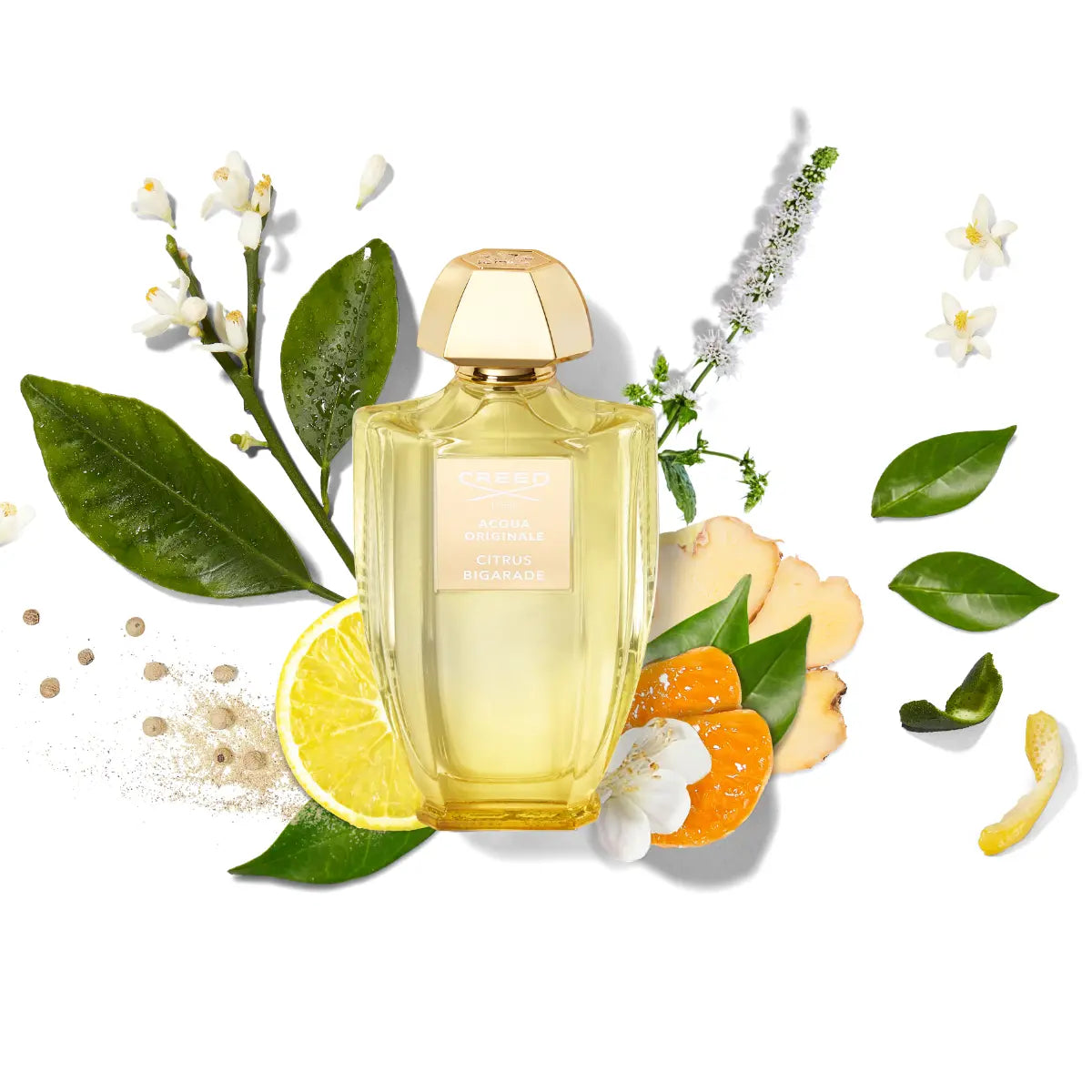 Creed - Acqua Originale - Citrus Bigarade
