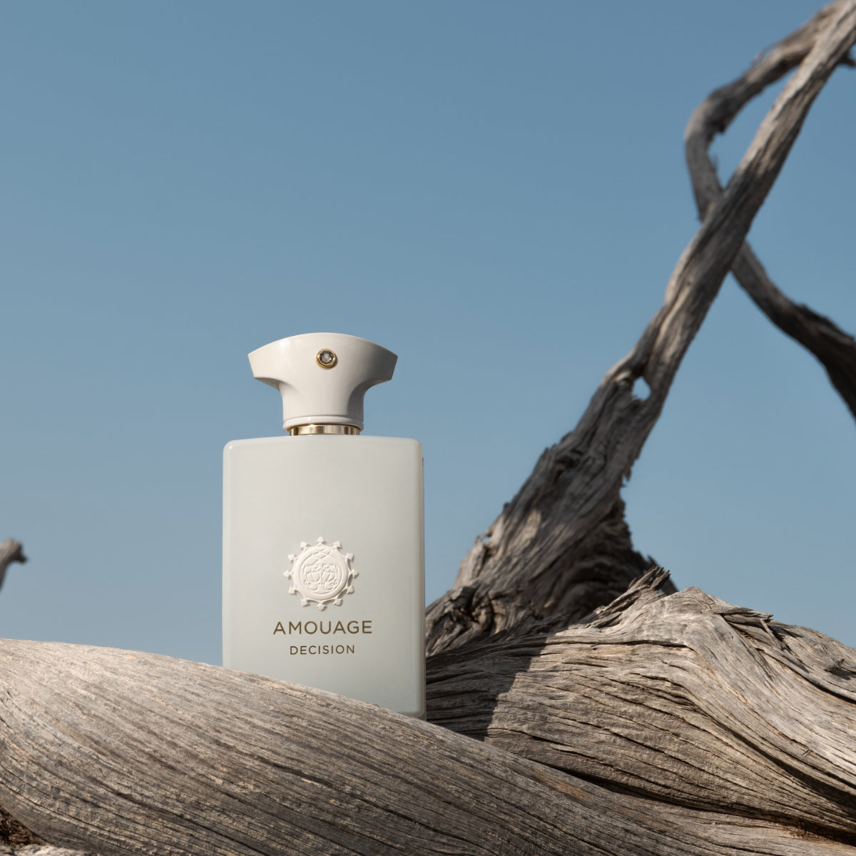 AMOUAGEのDECISIONオードパルファム100ミリ Amouage Decision Eau de Parfum 100ml | Vittoria Profumi – VITTORIA
