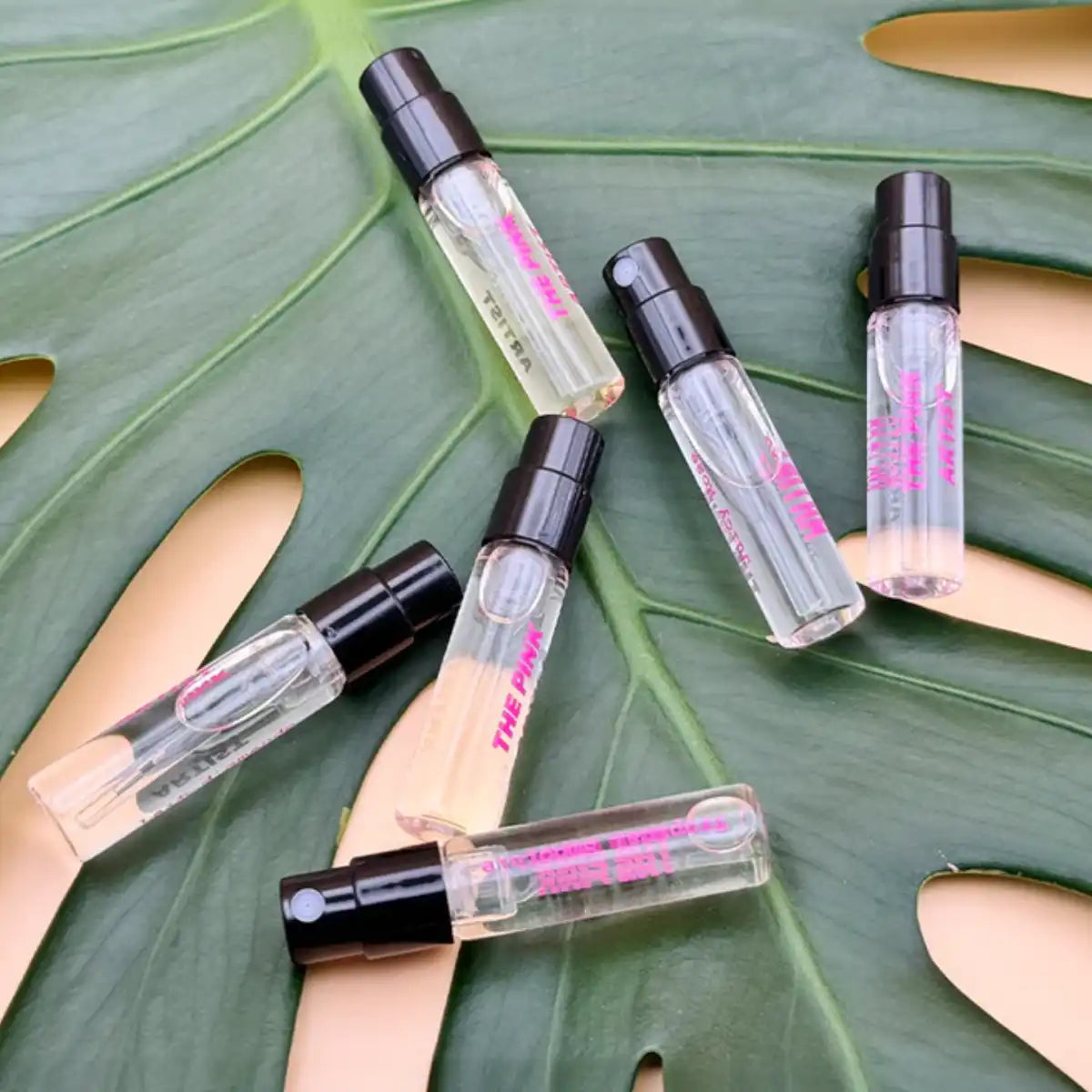 The Pink Artist - Discovery Set