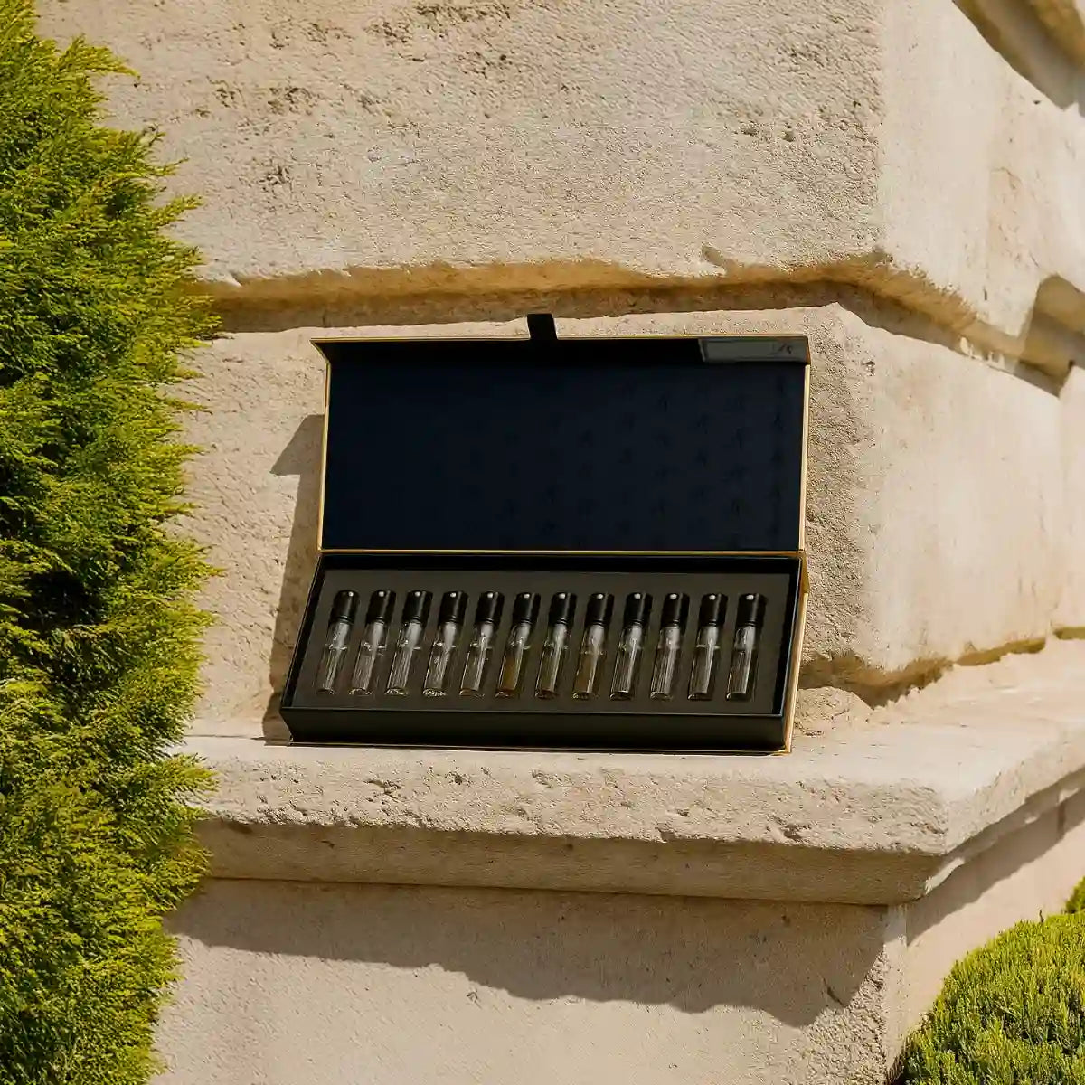 Nicolai - Discovery Set