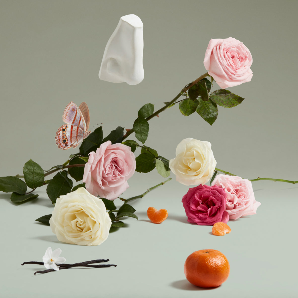 Penhaligon's - Portraits - The Coveted Duchess Rose