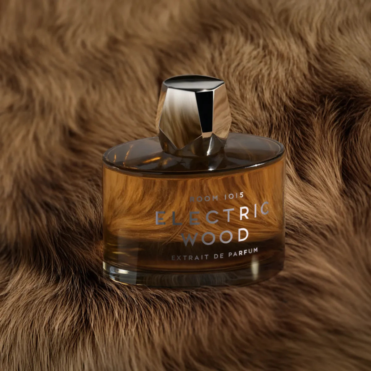Room 1015 - Electric Wood - Extrait