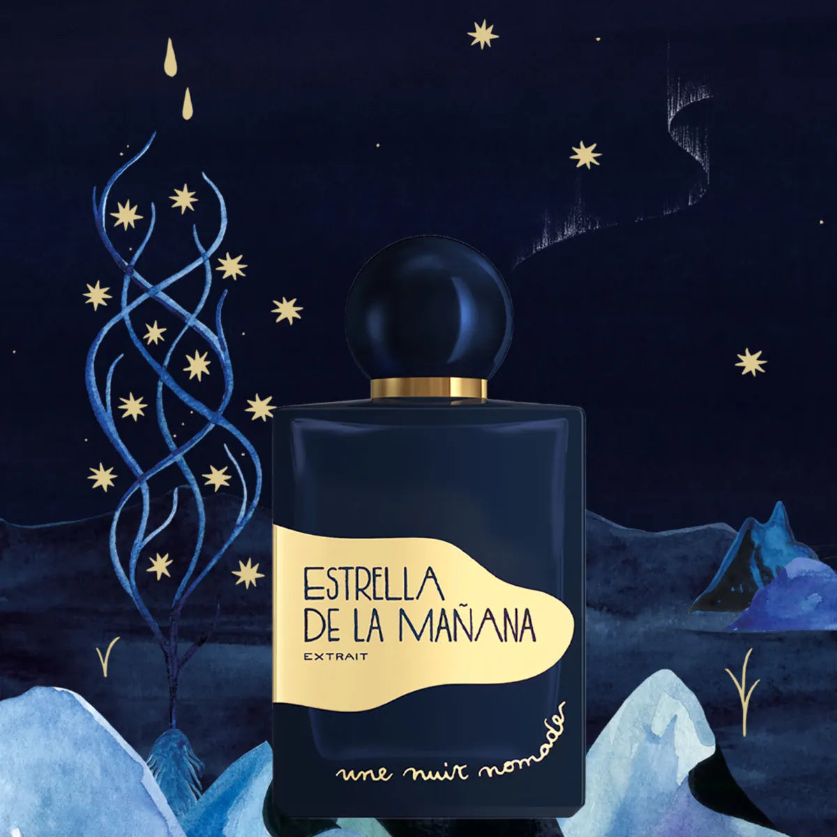 Une Nuit Nomade - Estrella de la Mañana