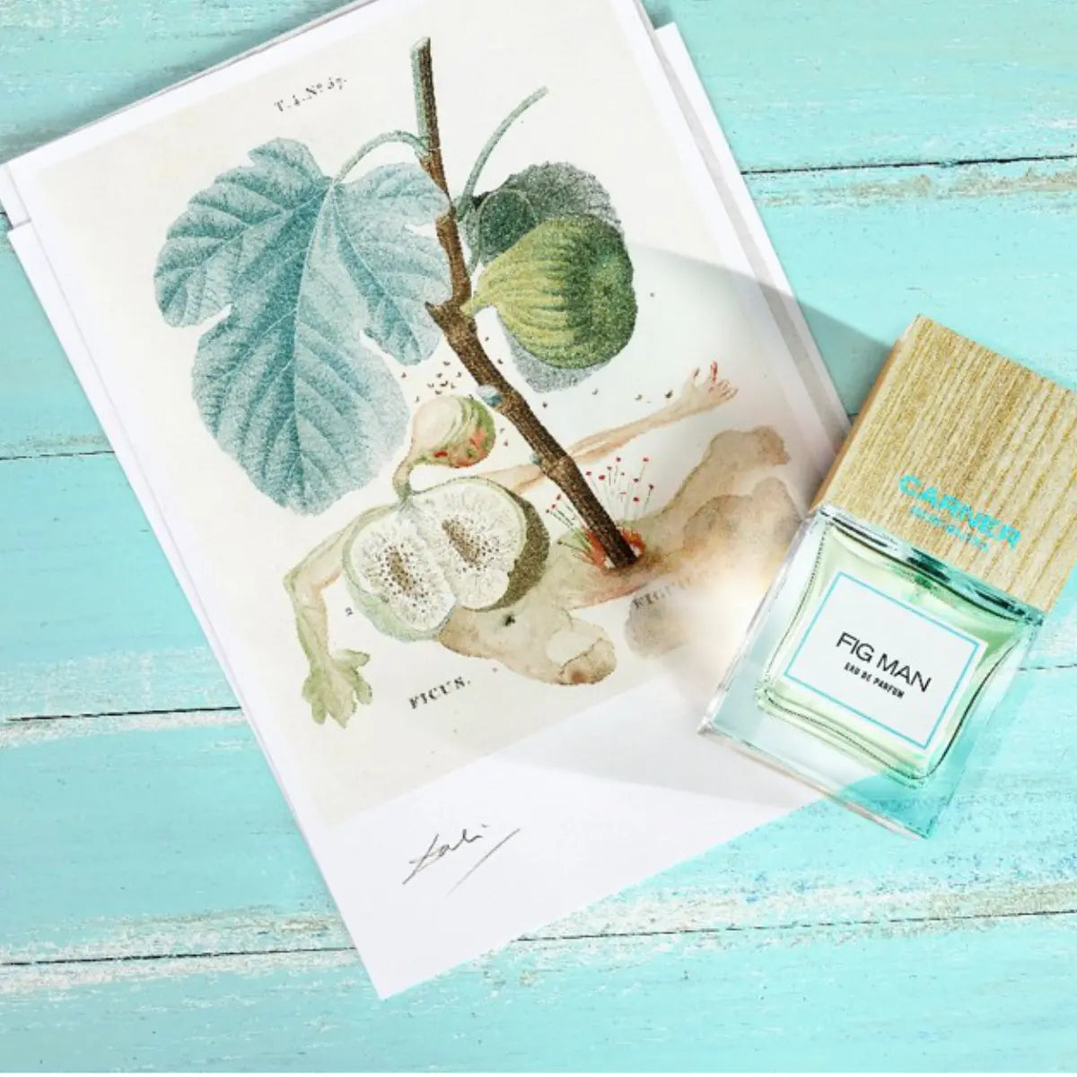 Carner Barcelona - Mediterranean Collection - Fig Man