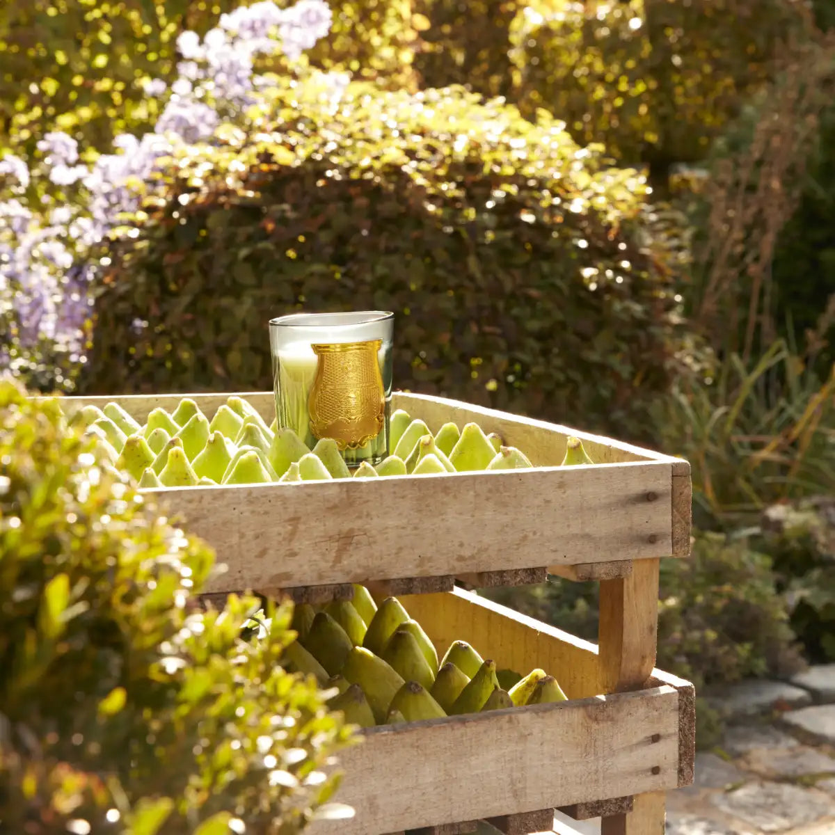 Trudon - Figuerie - Duftkerze