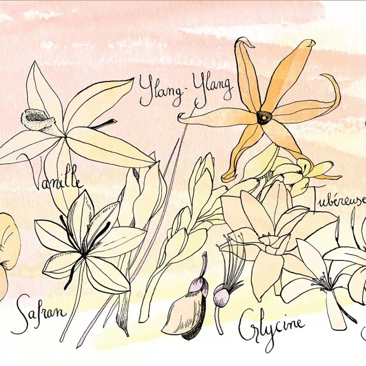 Une Nuit Nomade - Une Nuit à Bali - Fleur des Fleurs