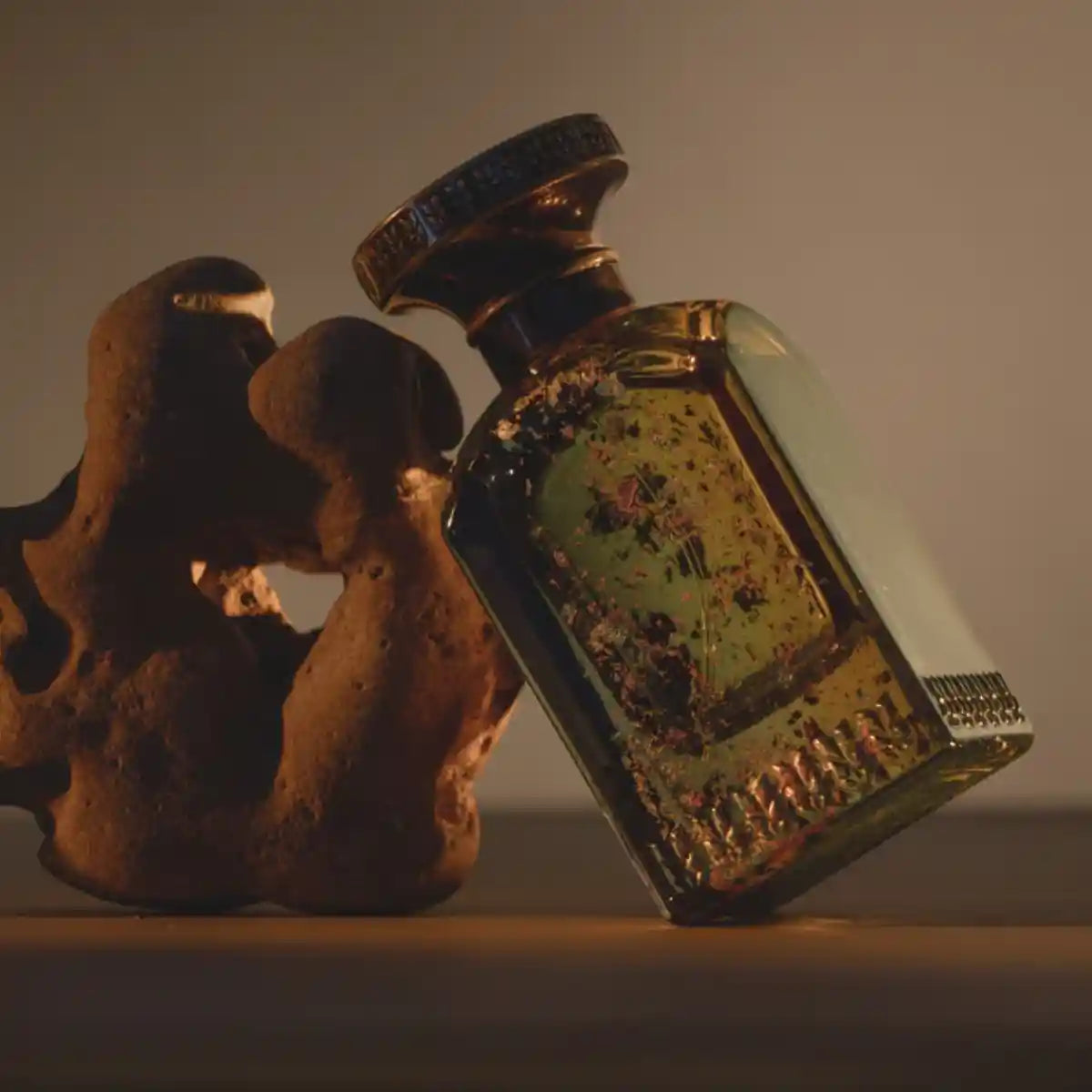 Anfas - Fosol Collection - Ghala