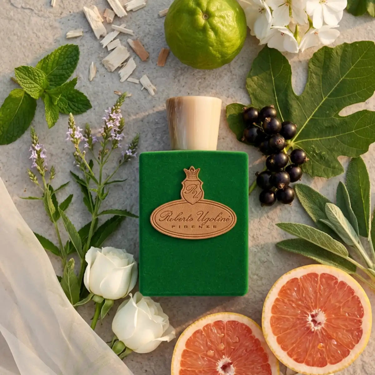 Roberto Ugolini - Giardino di Boboli - Limited