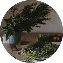 Smell your Herbs