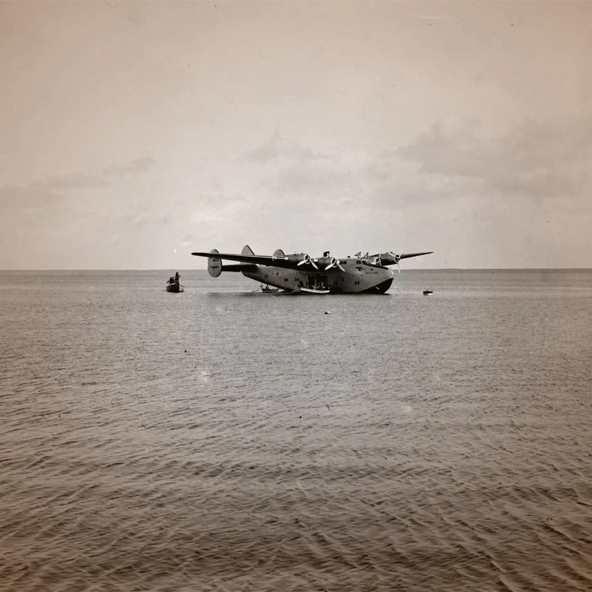 Cherigan - Iris Coffee