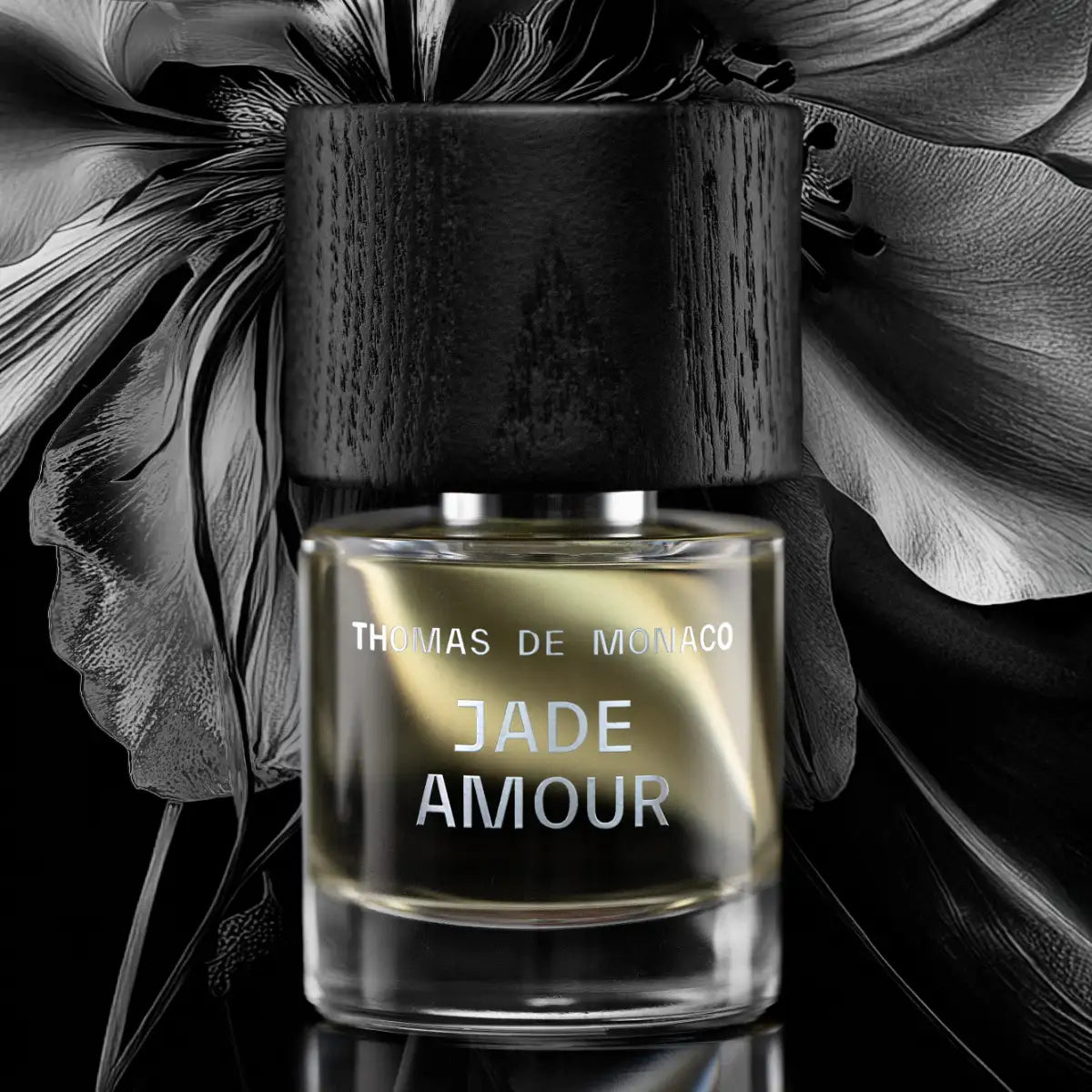 Thomas de Monaco - Jade Amour