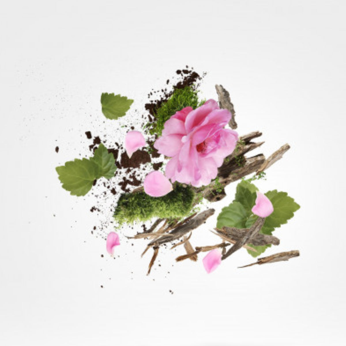 Xerjoff - K Collection - Jãbir