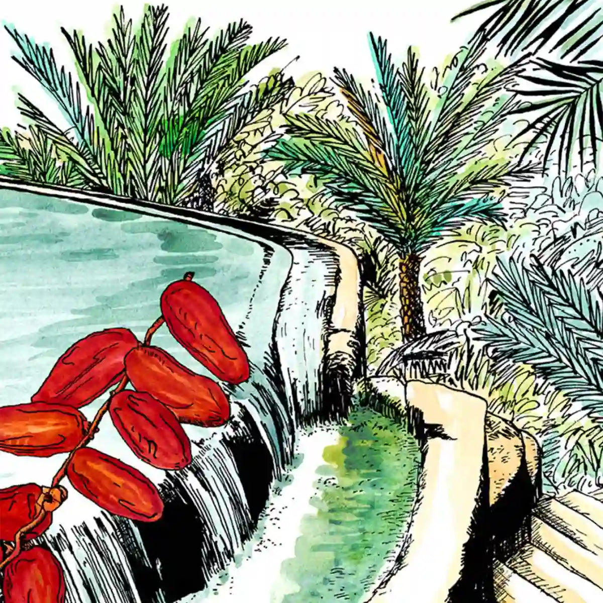 Une Nuit Nomade - Une Nuit a Oman - Jardins de Misfah