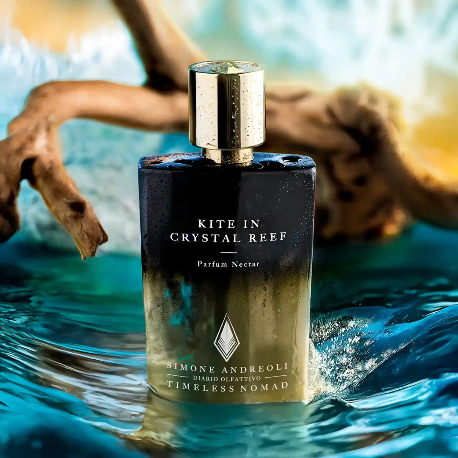 Simone Andreoli - Kite in Crystal Reef